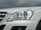 Mercedes-Benz M-Class 2010
